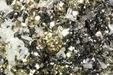 Sphalerite, Pyrite and Quartz Association - Peru #87747-2